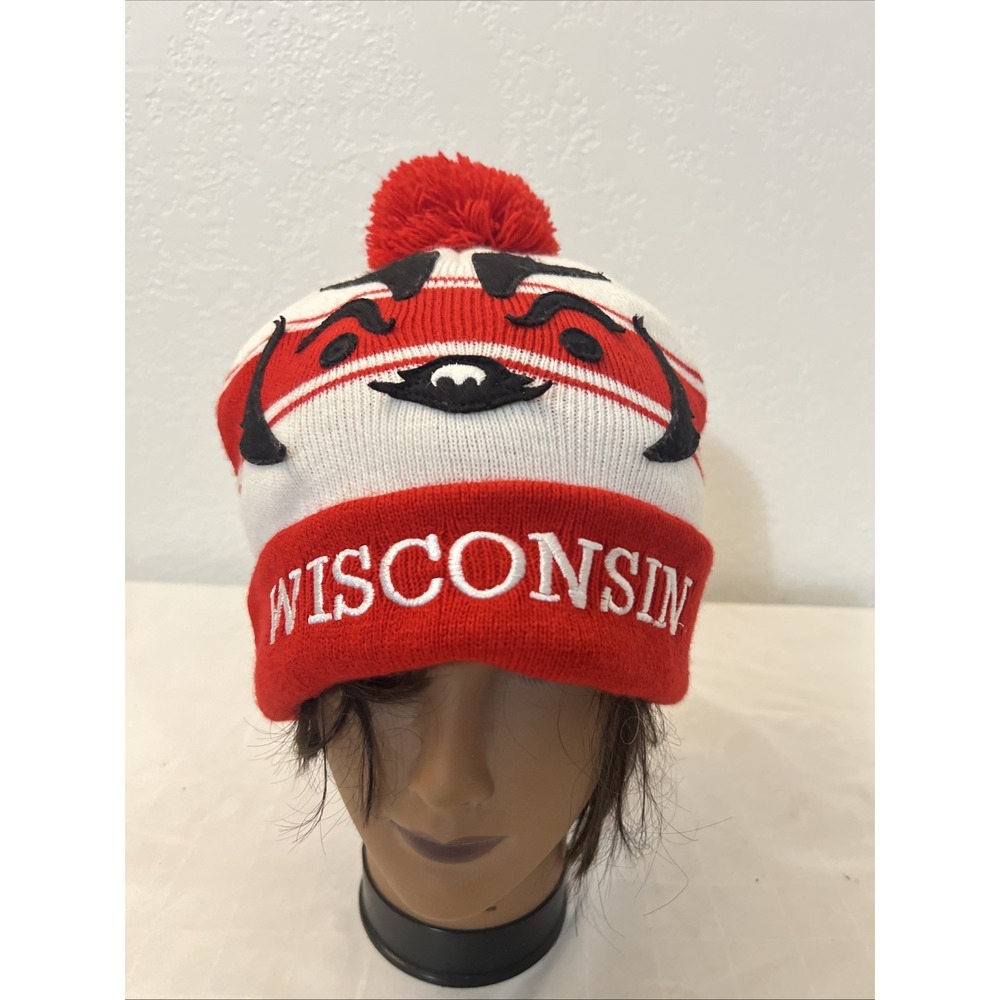 Rare Bucky Badger Wisconsin Badgers Winter Ski ADULT Beanie Hat ZooZatz ZH0314 - Picture 2 of 9